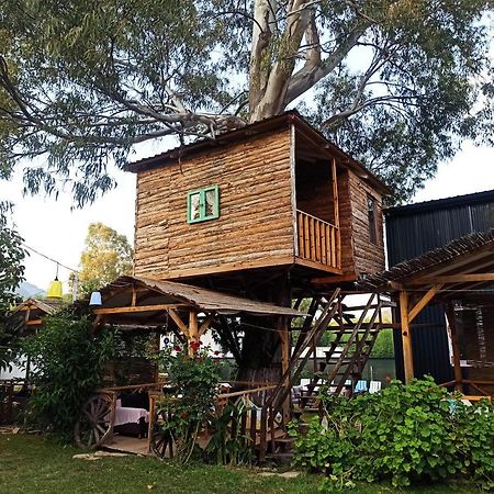 Daidala Life Bed & Breakfast Gocek  Luaran gambar