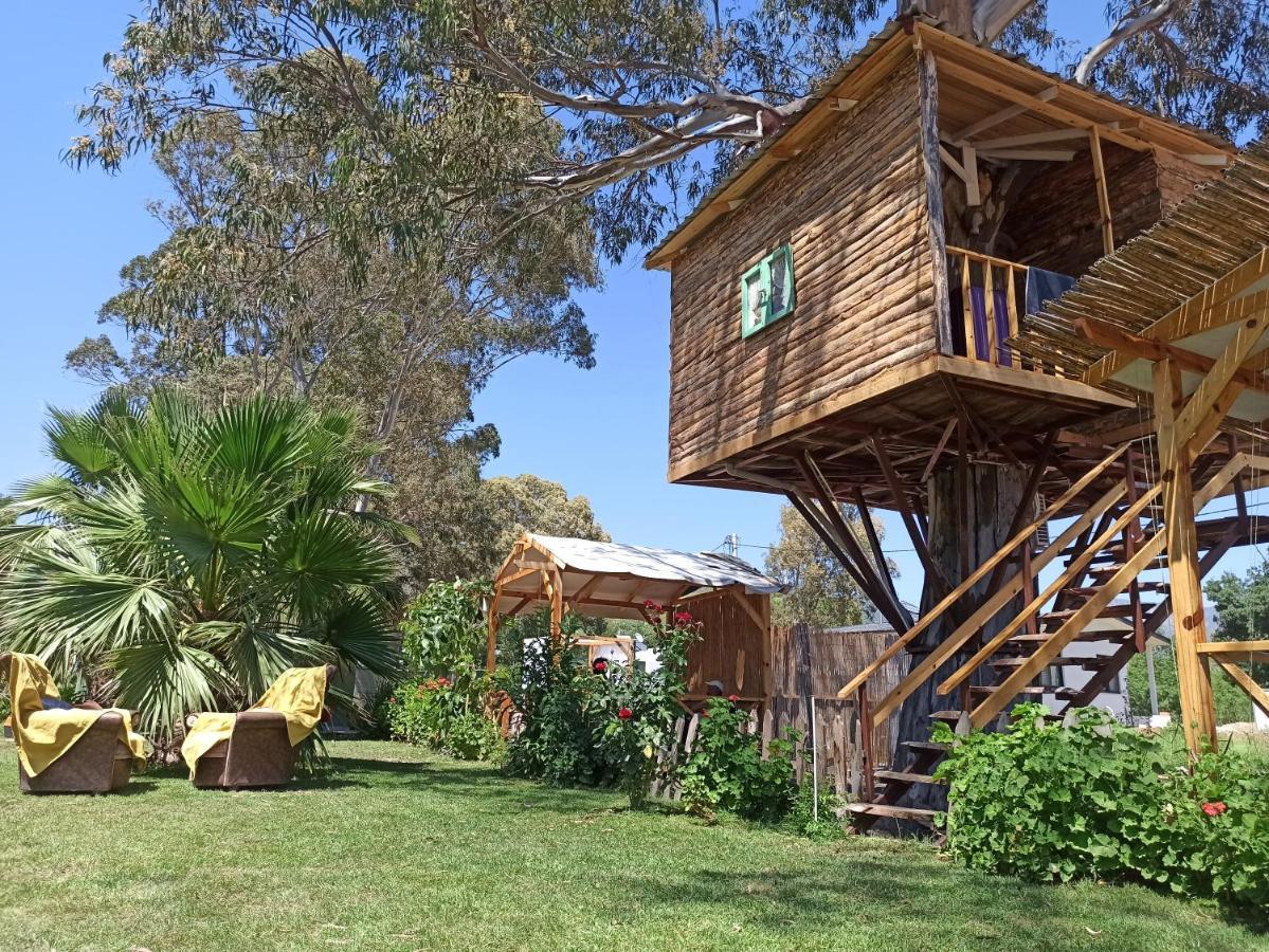 Daidala Life Bed & Breakfast Gocek  Luaran gambar