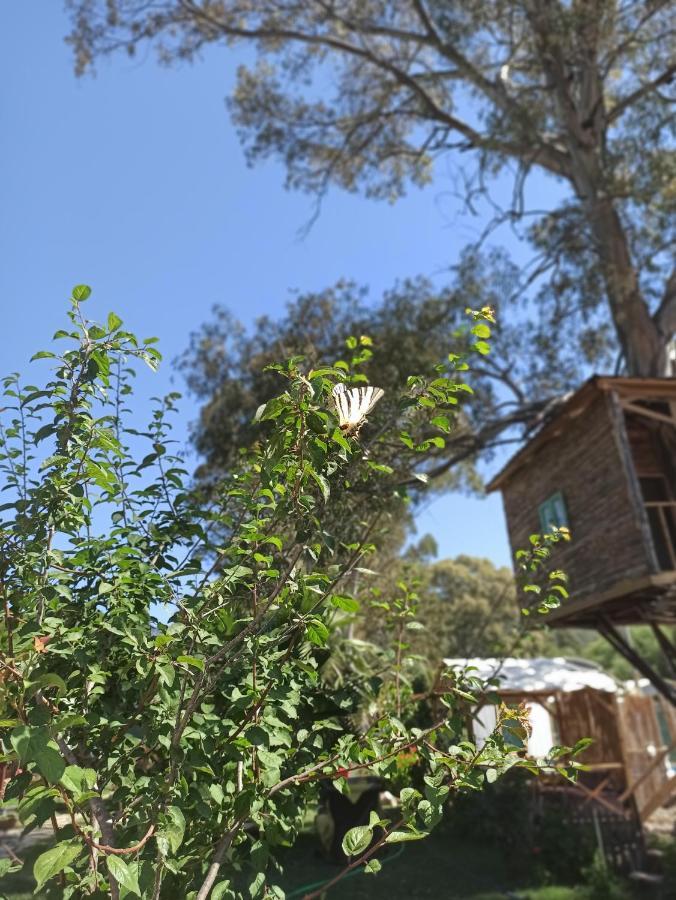 Daidala Life Bed & Breakfast Gocek  Luaran gambar